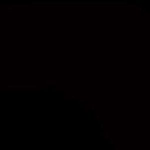 Meet your Posher, Destiny